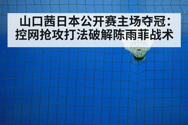 badminton net play